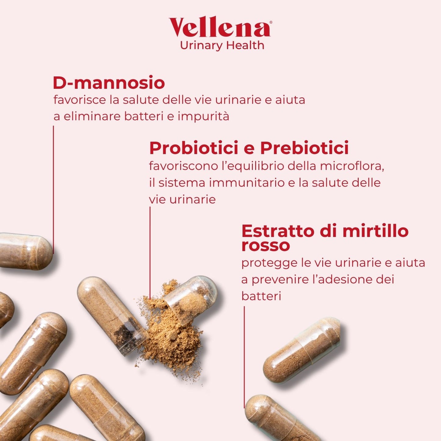 Salute delle vie urinarie + Salute intima | Capsule 2 MIX | Vellena