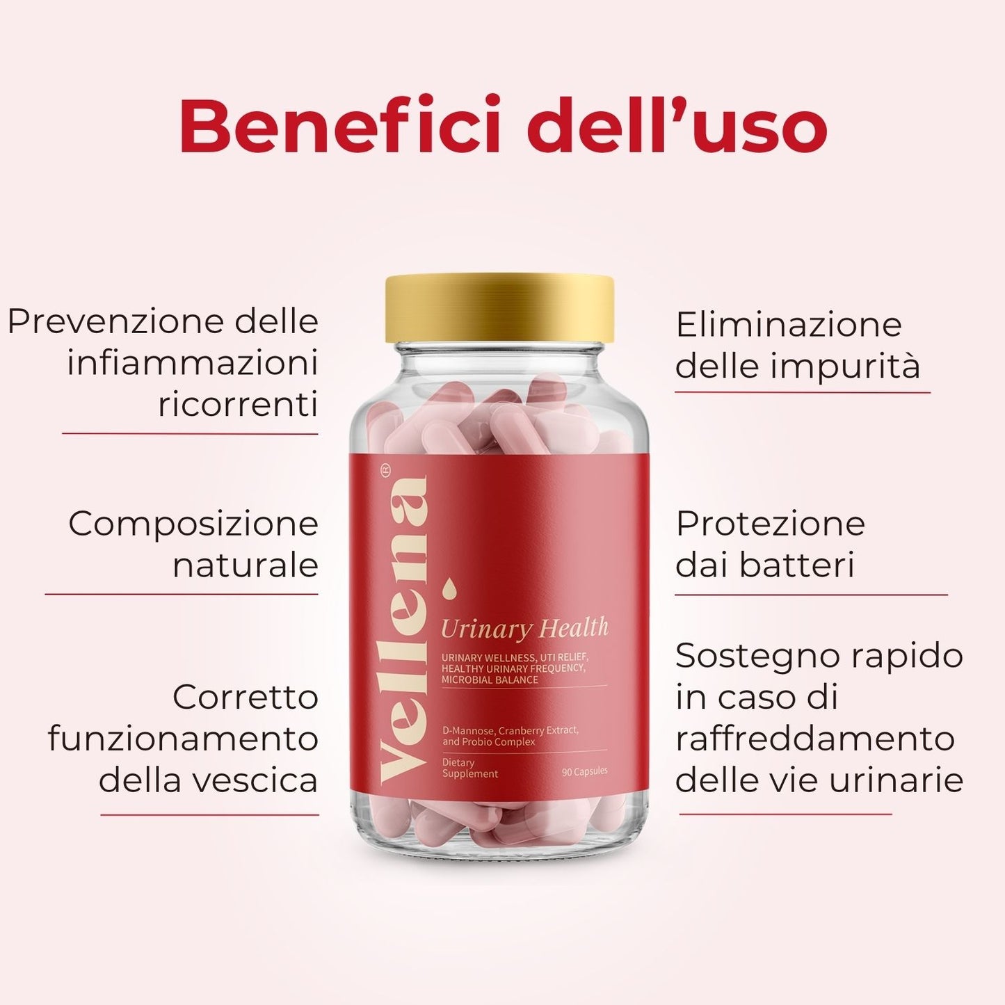 Salute delle vie urinarie + Salute intima | Capsule 2 MIX | Vellena