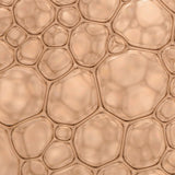 Vitamina B6